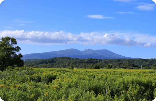 北海道支社周辺情報1